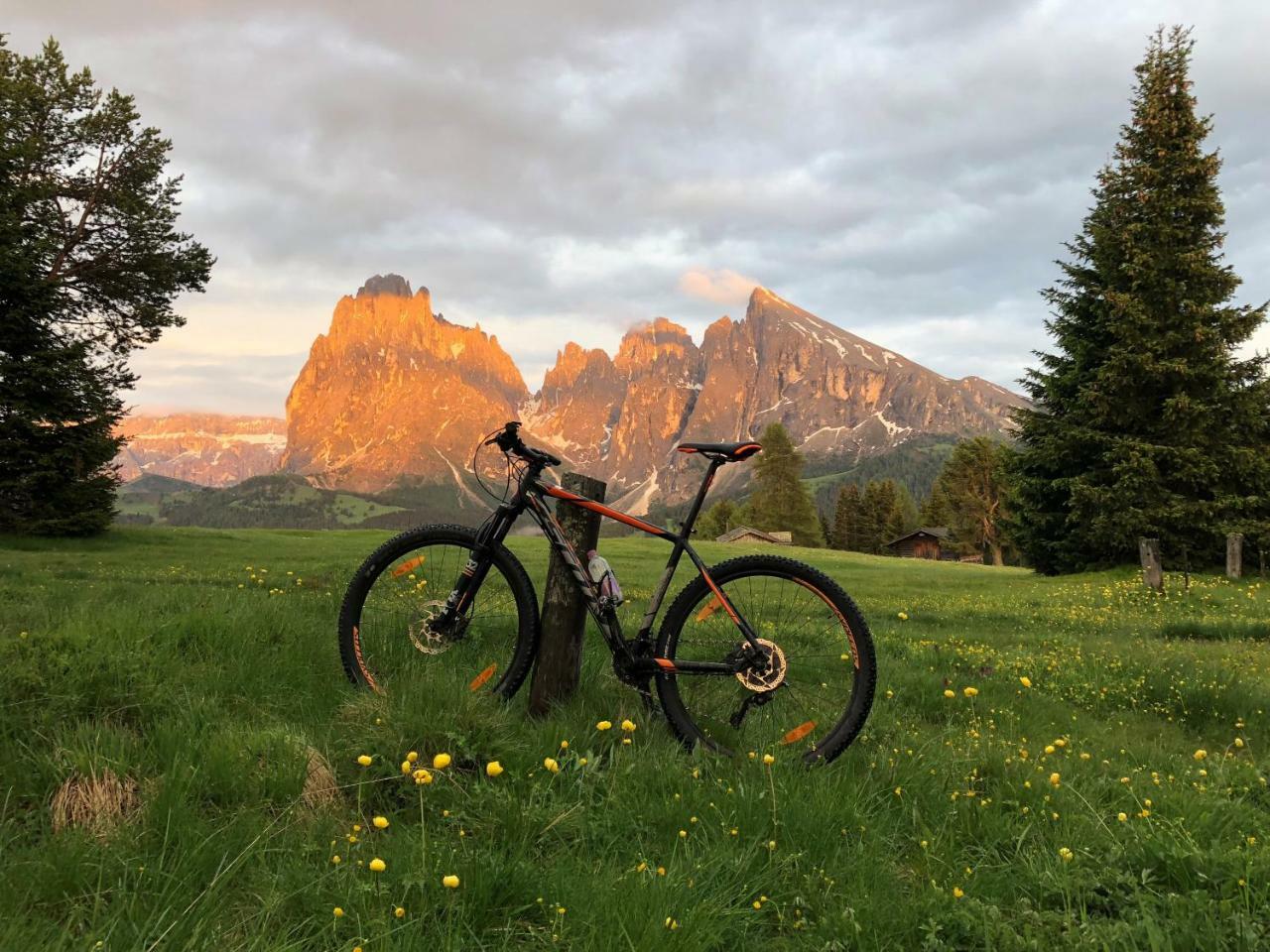 Saltria - Your Alpine Experience Alpe Di Siusi Exterior photo